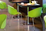 Кресло Pedrali Grace Цвет: зеленый