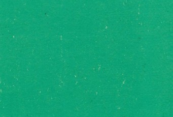 Линолеум Gerflor (Armstrong) Colorette PUR 131-131