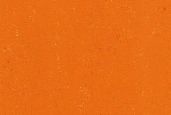 Линолеум Gerflor (Armstrong) Colorette PUR 131-170